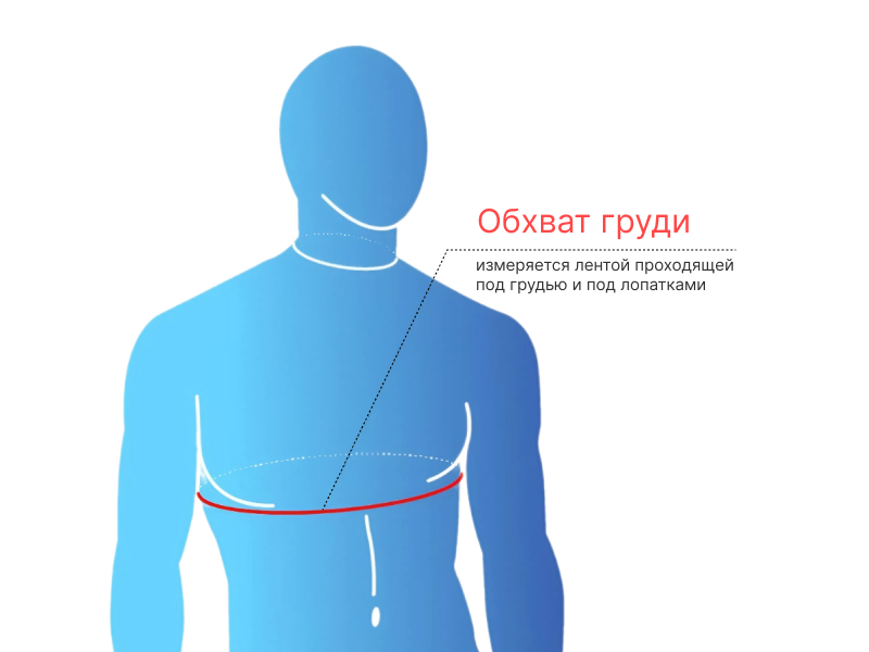 Обхват груди 
